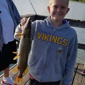 Meet your Posher, Collin